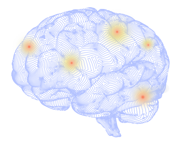 Neuroplasticidade